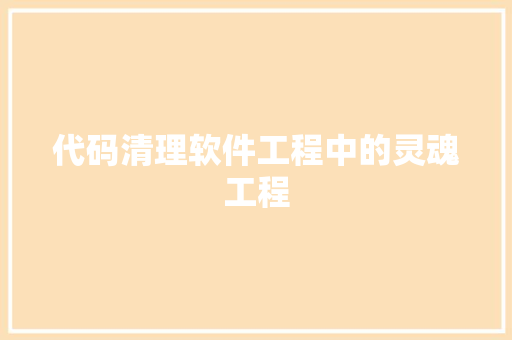 代码清理软件工程中的灵魂工程