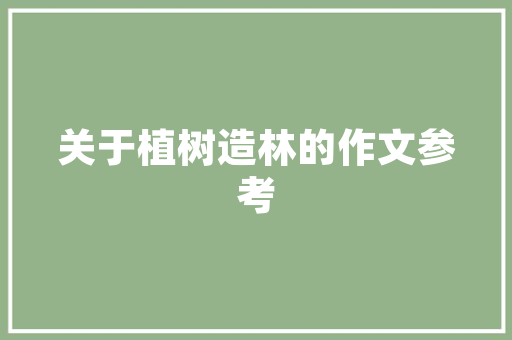 C语言编程之美表白代码的艺术与魅力