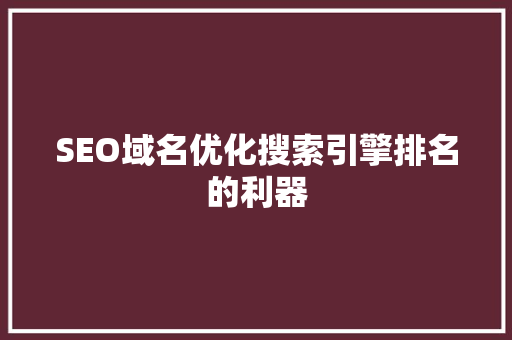 SEO域名优化搜索引擎排名的利器