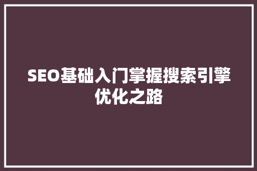 SEO基础入门掌握搜索引擎优化之路