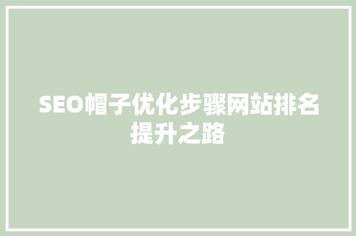 SEO帽子优化步骤网站排名提升之路