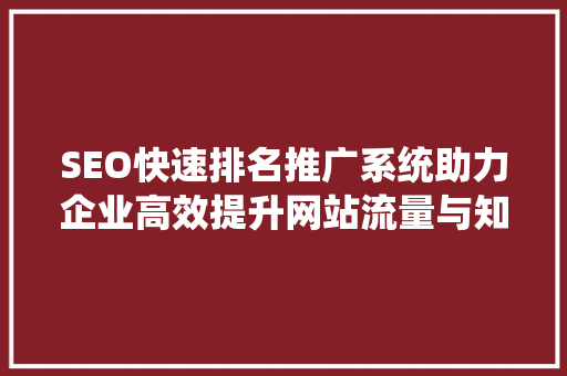 SEO快速排名推广系统助力企业高效提升网站流量与知名度