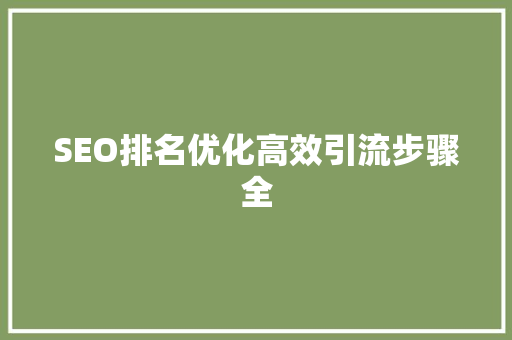 SEO排名优化高效引流步骤全