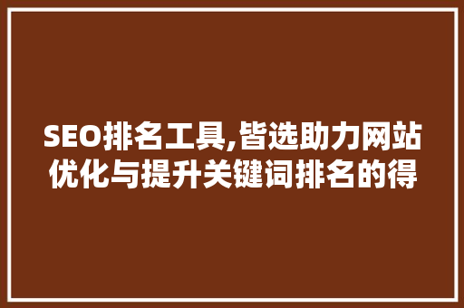 SEO排名工具,皆选助力网站优化与提升关键词排名的得力助手