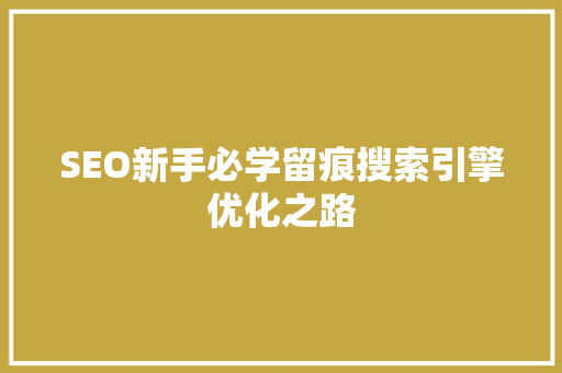 SEO新手必学留痕搜索引擎优化之路