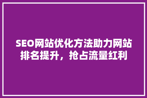 SEO网站优化方法助力网站排名提升，抢占流量红利