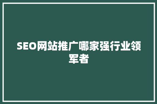 SEO网站推广哪家强行业领军者