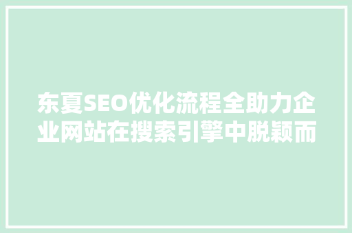 东夏SEO优化流程全助力企业网站在搜索引擎中脱颖而出