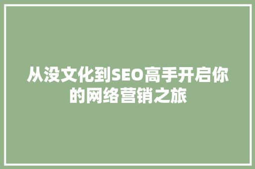 从没文化到SEO高手开启你的网络营销之旅