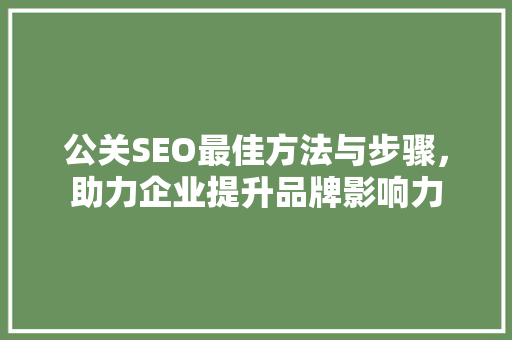 公关SEO最佳方法与步骤，助力企业提升品牌影响力  第1张