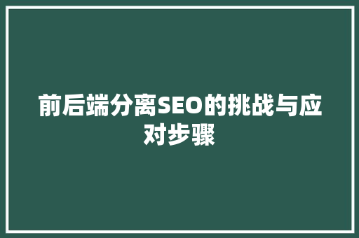 前后端分离SEO的挑战与应对步骤