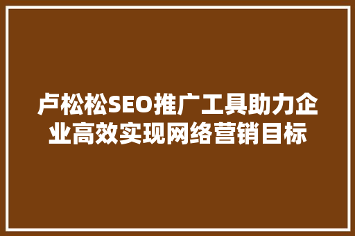 卢松松SEO推广工具助力企业高效实现网络营销目标