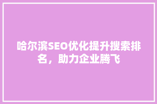 哈尔滨SEO优化提升搜索排名，助力企业腾飞