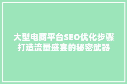 大型电商平台SEO优化步骤打造流量盛宴的秘密武器