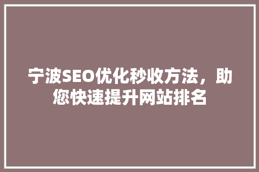 宁波SEO优化秒收方法，助您快速提升网站排名