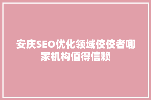 安庆SEO优化领域佼佼者哪家机构值得信赖