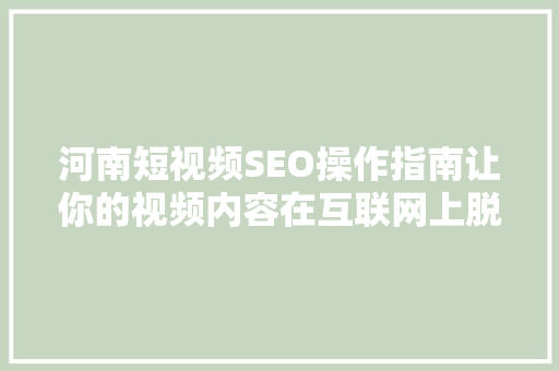 河南短视频SEO操作指南让你的视频内容在互联网上脱颖而出