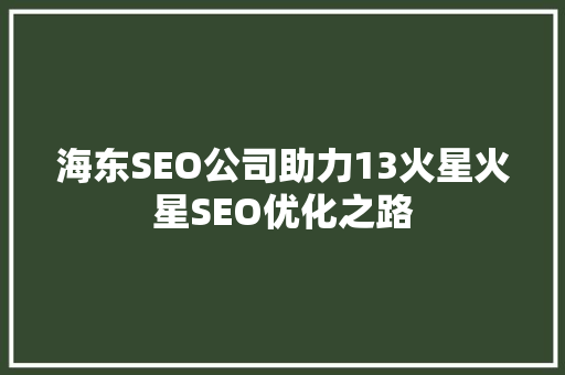 海东SEO公司助力13火星火星SEO优化之路