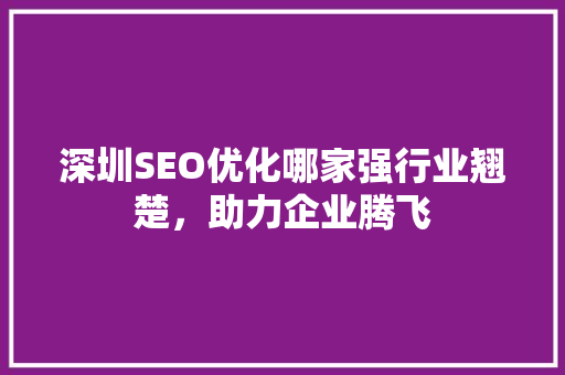 深圳SEO优化哪家强行业翘楚，助力企业腾飞