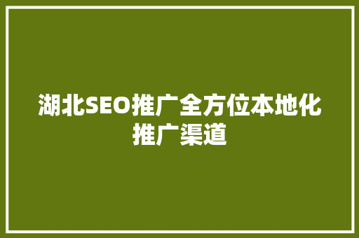 湖北SEO推广全方位本地化推广渠道