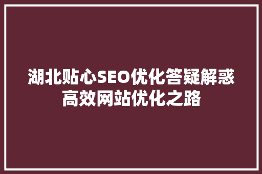 湖北贴心SEO优化答疑解惑高效网站优化之路