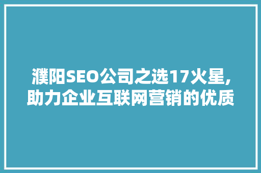濮阳SEO公司之选17火星,助力企业互联网营销的优质伙伴