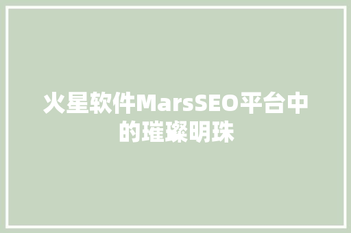 火星软件MarsSEO平台中的璀璨明珠