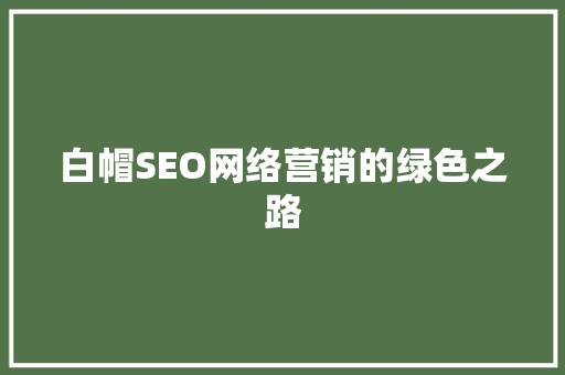 白帽SEO网络营销的绿色之路