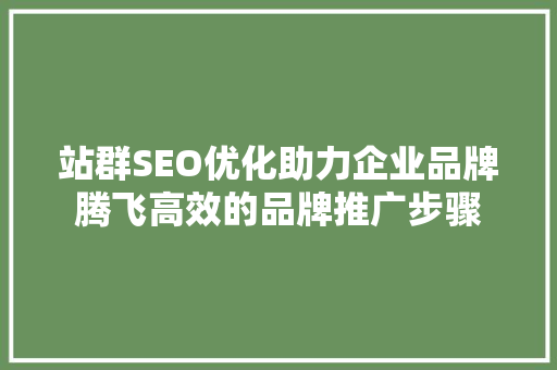 站群SEO优化助力企业品牌腾飞高效的品牌推广步骤