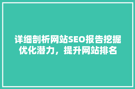 详细剖析网站SEO报告挖掘优化潜力，提升网站排名