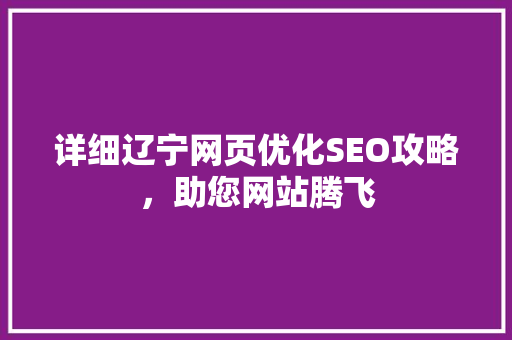 详细辽宁网页优化SEO攻略，助您网站腾飞
