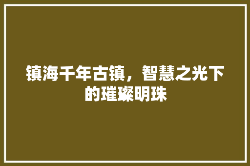 镇海千年古镇，智慧之光下的璀璨明珠