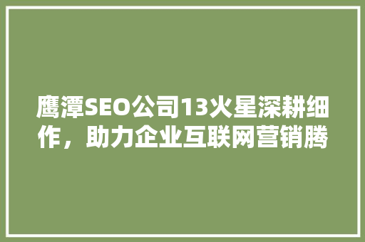 鹰潭SEO公司13火星深耕细作，助力企业互联网营销腾飞