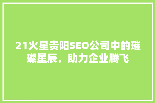21火星贵阳SEO公司中的璀璨星辰，助力企业腾飞