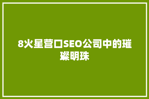 8火星营口SEO公司中的璀璨明珠