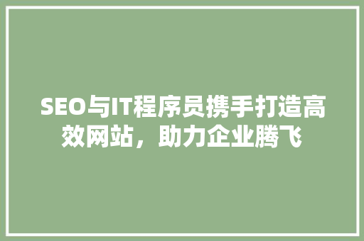 SEO与IT程序员携手打造高效网站，助力企业腾飞