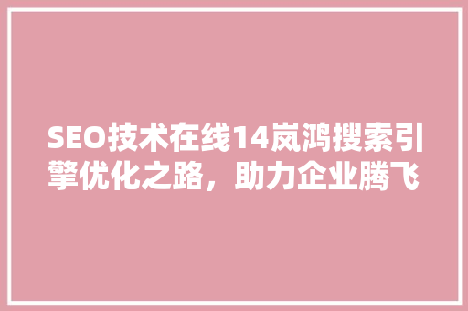 SEO技术在线14岚鸿搜索引擎优化之路，助力企业腾飞