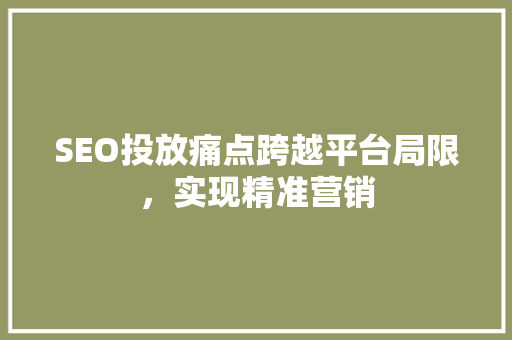 SEO投放痛点跨越平台局限，实现精准营销