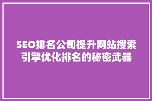 SEO排名公司提升网站搜索引擎优化排名的秘密武器