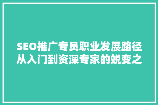 SEO推广专员职业发展路径从入门到资深专家的蜕变之路