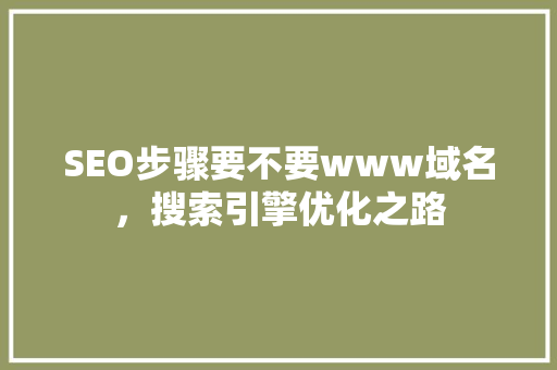 SEO步骤要不要www域名，搜索引擎优化之路