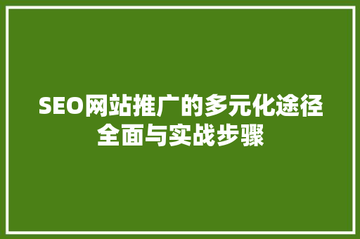 SEO网站推广的多元化途径全面与实战步骤