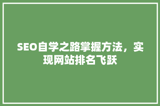 SEO自学之路掌握方法，实现网站排名飞跃