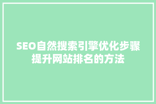 SEO自然搜索引擎优化步骤提升网站排名的方法