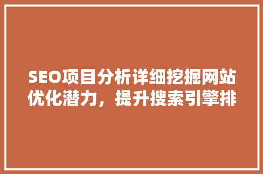 SEO项目分析详细挖掘网站优化潜力，提升搜索引擎排名