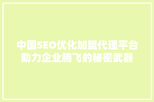 中国SEO优化加盟代理平台助力企业腾飞的秘密武器