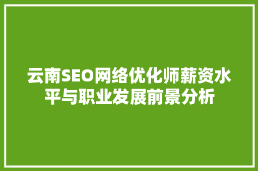 云南SEO网络优化师薪资水平与职业发展前景分析