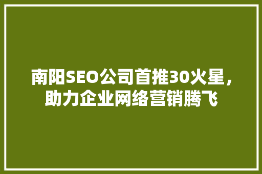 南阳SEO公司首推30火星，助力企业网络营销腾飞