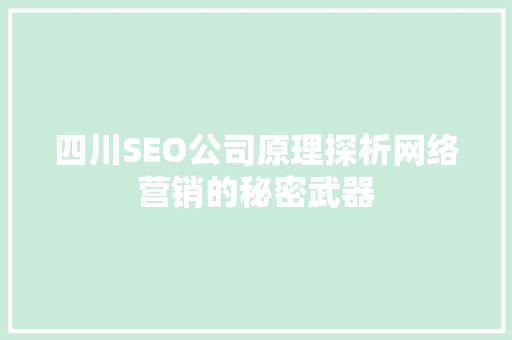 四川SEO公司原理探析网络营销的秘密武器
