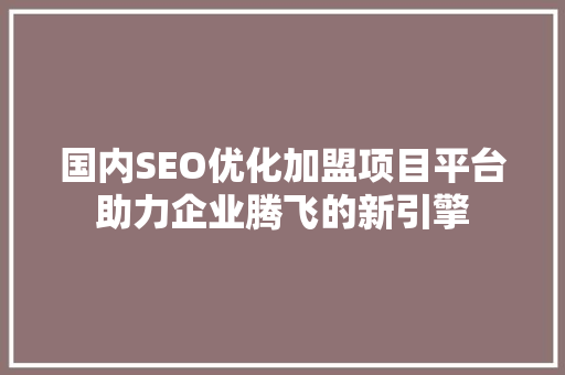 国内SEO优化加盟项目平台助力企业腾飞的新引擎